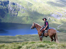 Wales-Wales-Trans Wales Trail